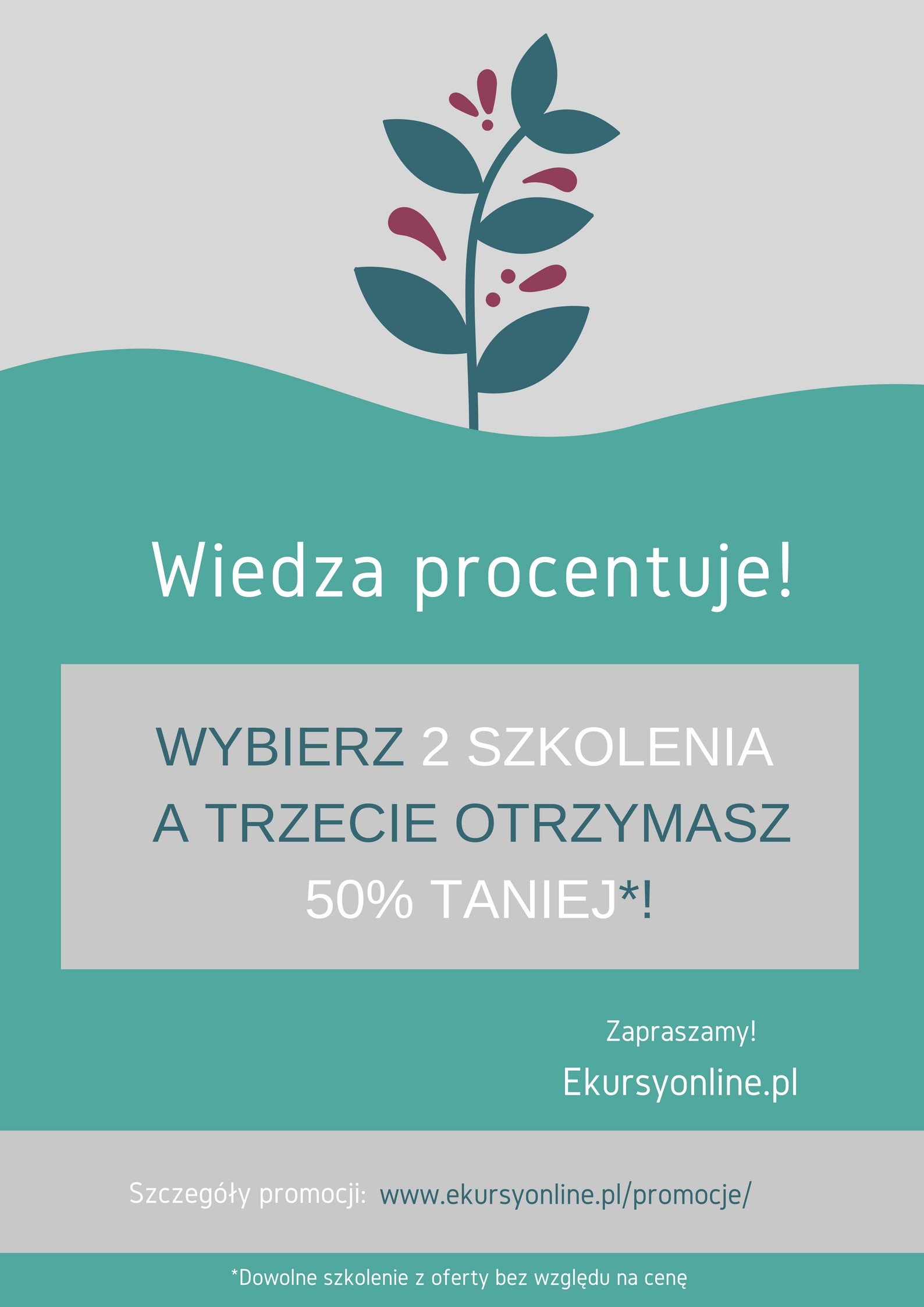 Promocja 50 % taniej